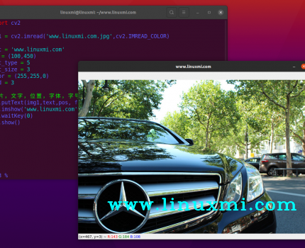 跟我学Ubuntu下将Vim 8.2打造成Python IDE
